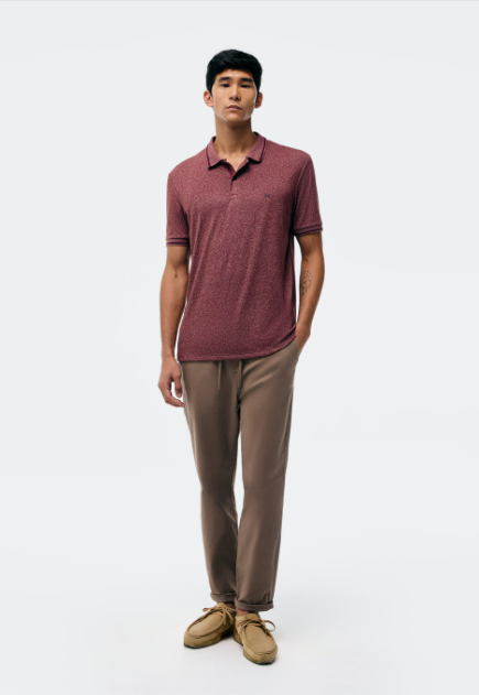 Camisa Polo Hering Básica Em Malha Texturizada Masculina - Vinho