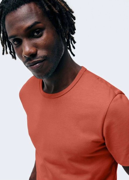 Camiseta Básica Hering Slim Masculina - Terracota