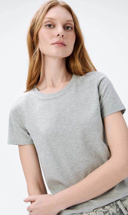 Camiseta Manga Curta Hering Slim World Básica Feminina - Cinza