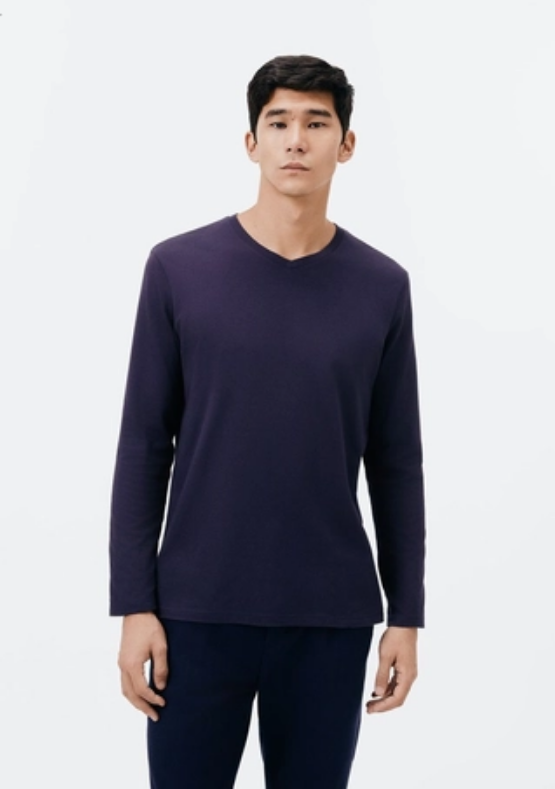 Camiseta Básica Hering Manga Longa Gola V Masculina - Azul
