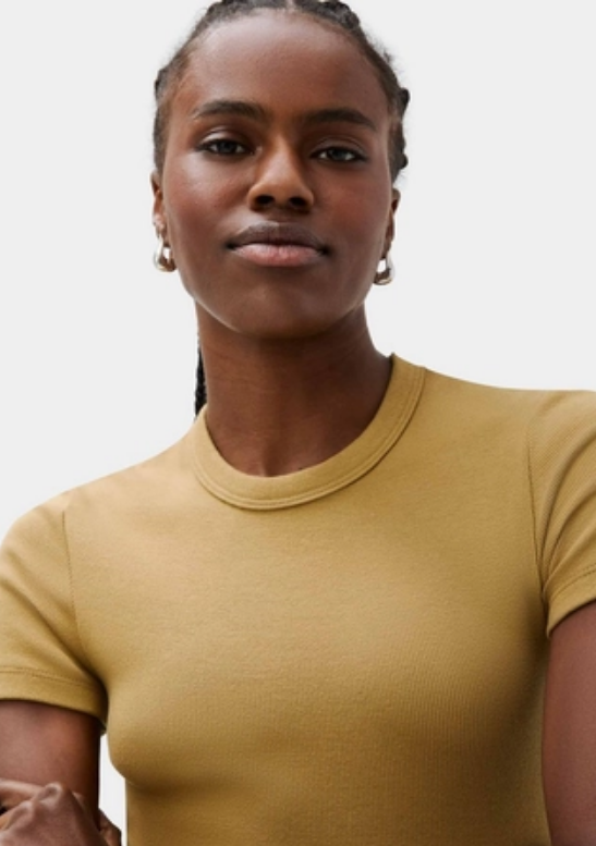 Blusa Hering Slim Em Ribana Feminina - Caqui