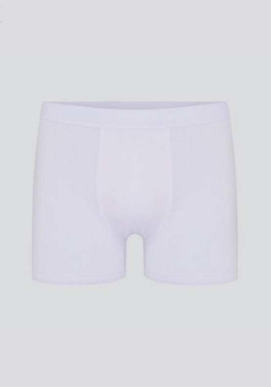 Cueca Hering Boxer Com Elástico Masculina - Branca