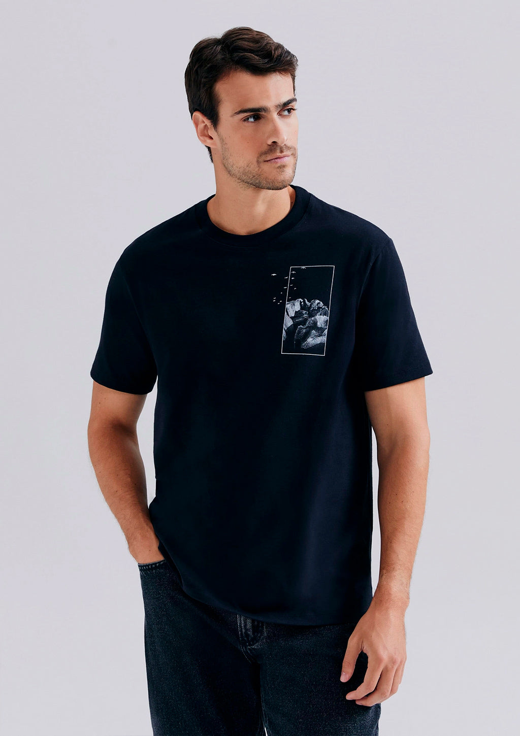 Camiseta Manga Curta Hering Estampada Masculina - Preto
