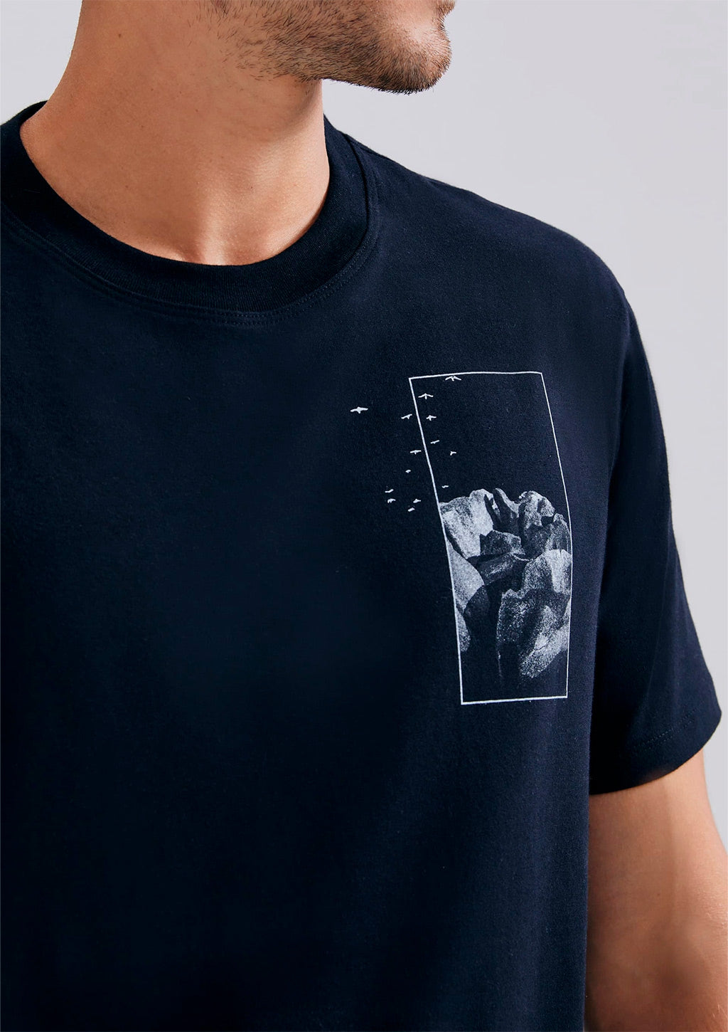 Camiseta Manga Curta Hering Estampada Masculina - Preto