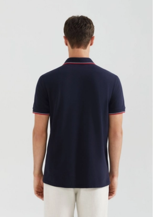 Camiseta Polo Hering Básica Em Piquet Masculina - Azul