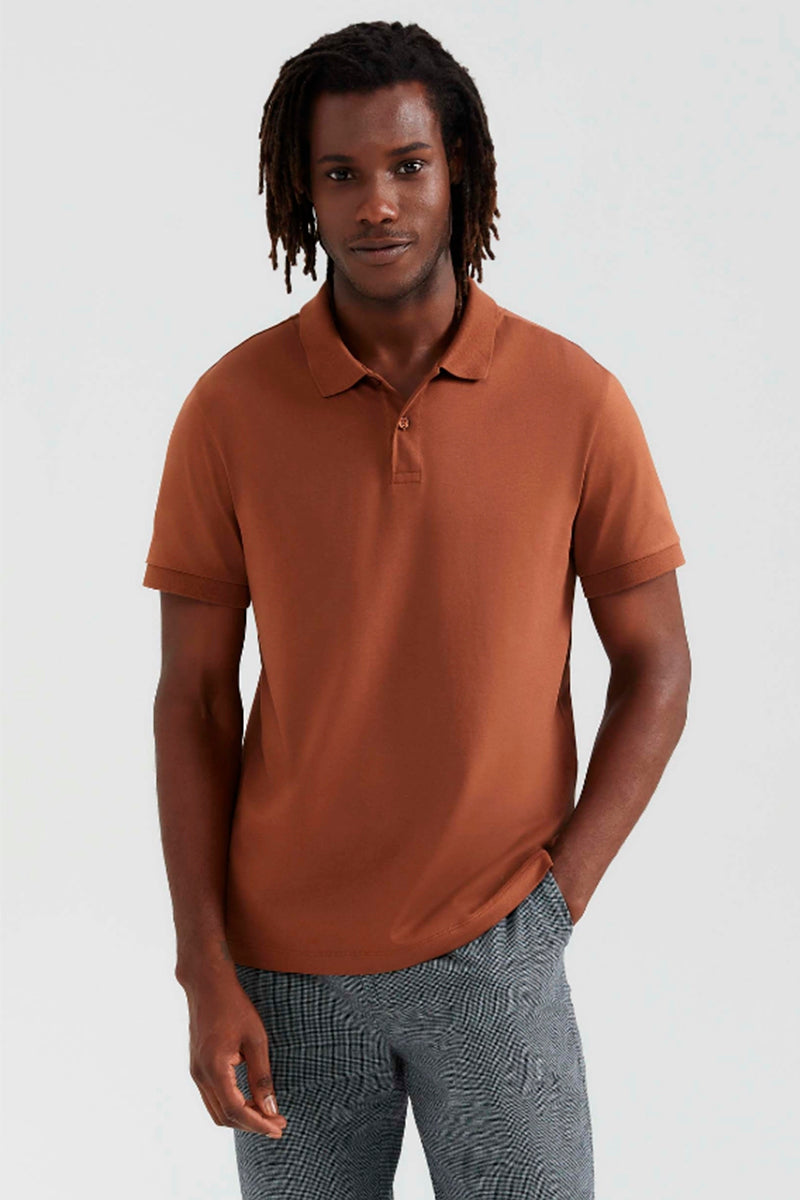 Camisa Polo Hering Básica Pima Masculina - Marrom