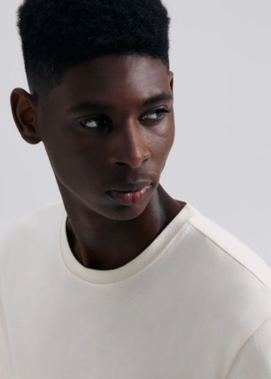 Camiseta Básica Hering Comfort Super Cotton Masculina - Bege