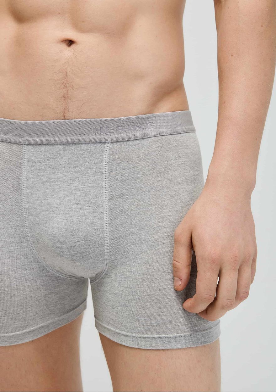 Cueca Hering Boxer Com Elástico Masculina - Cinza