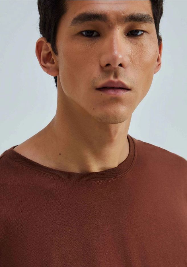 Camiseta Hering Masculina - Marrom