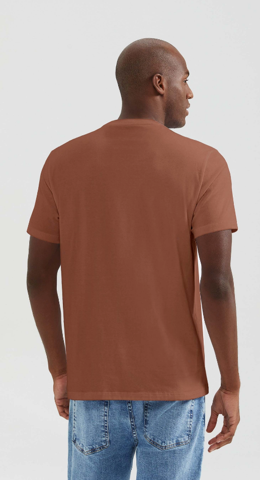 Camiseta Básica Hering Masculina Comfort Super Cotton - Marrom
