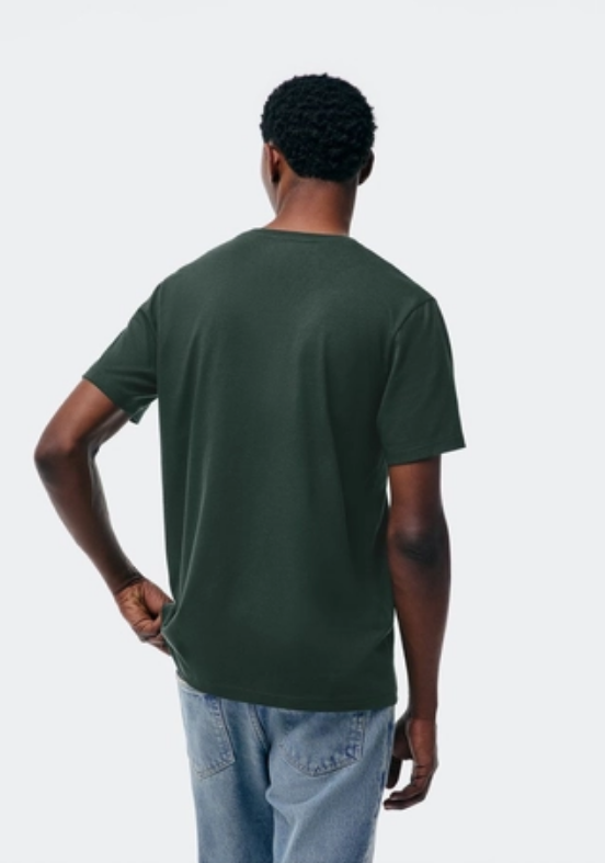 Camiseta Básica Hering Manga Curta Gola V World Masculina - Verde