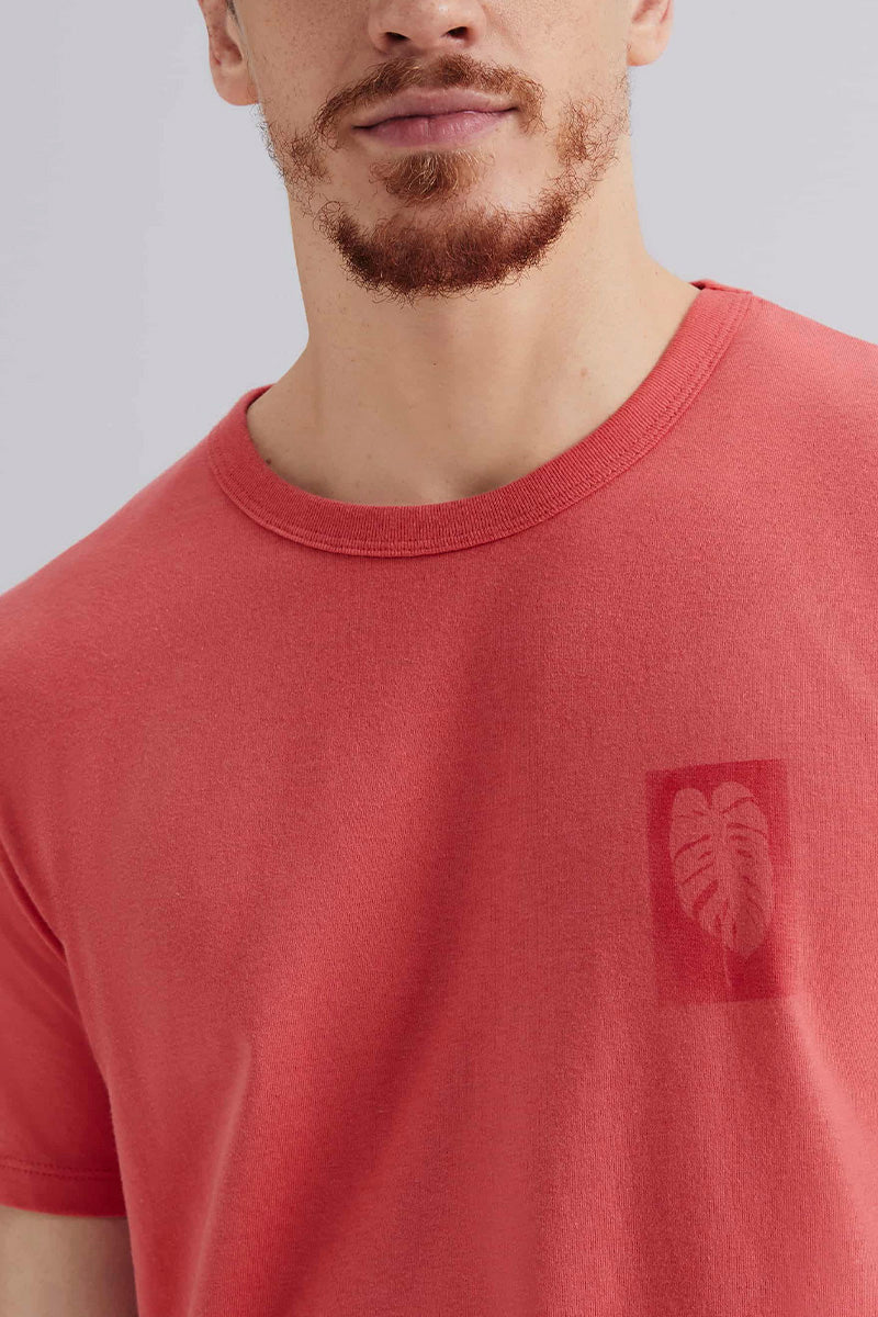 Camiseta Manga Curta Hering Básica Regular Estampada Masculina - Vermelha