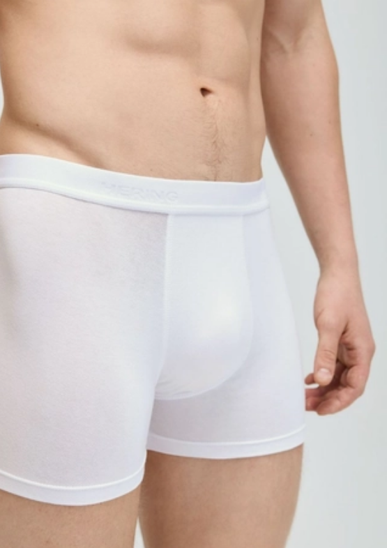 Cueca Hering Boxer Com Elástico Masculina - Branca