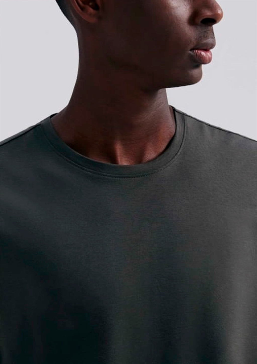 Camiseta Manga Curta Hering Pima Masculina - Chumbo