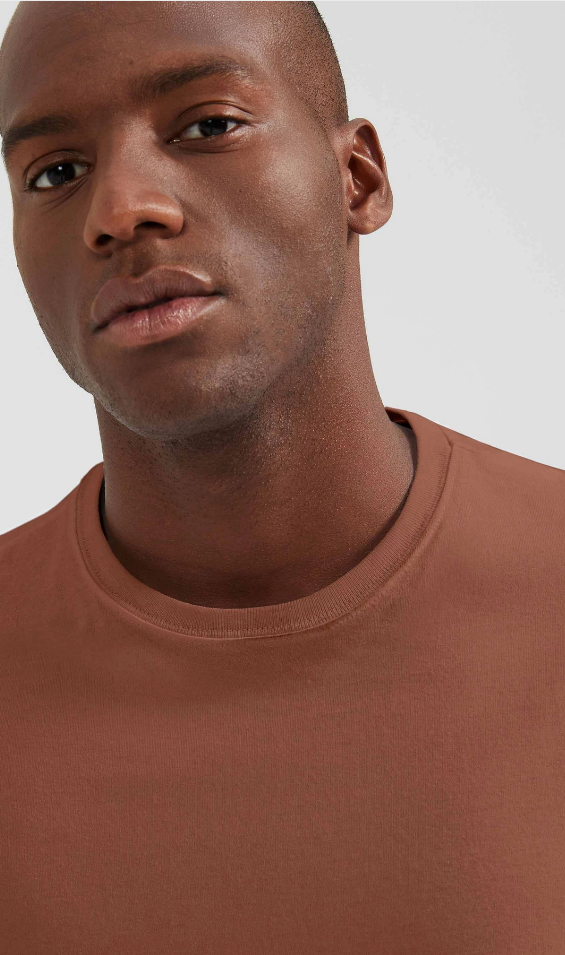 Camiseta Básica Hering Masculina Comfort Super Cotton - Marrom