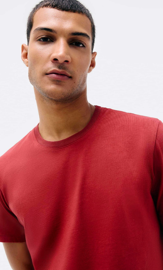 Camiseta Básica Hering Unissex Manga Curta Regular World - Vermelho