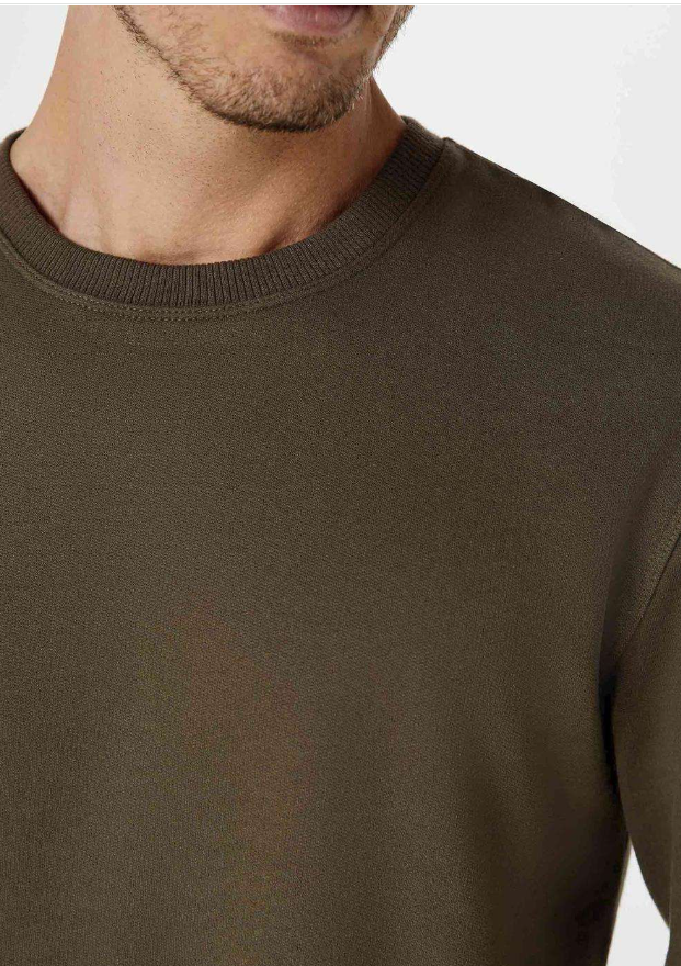 Blusão Básico Hering Comfort Em Moletom Peluciado Masculino - Verde Militar