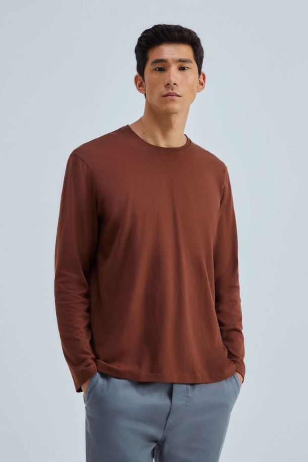 Camiseta Hering Masculina - Marrom