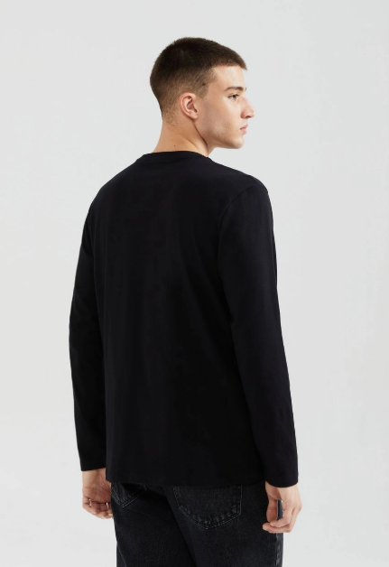 Camiseta Básica Hering Manga Longa Gola V World Masculina - Preto
