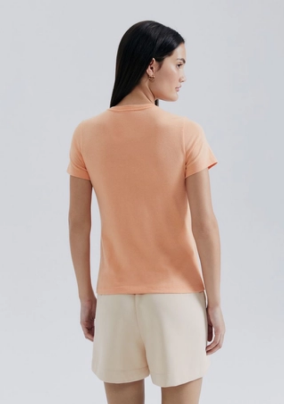 Camiseta Básica Hering Slim World Feminina - Laranja
