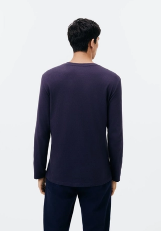 Camiseta Básica Hering Manga Longa Gola V Masculina - Azul