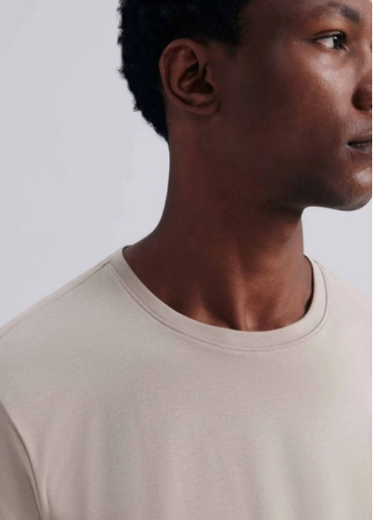Camiseta Hering Algodão Pima Masculina - Bege